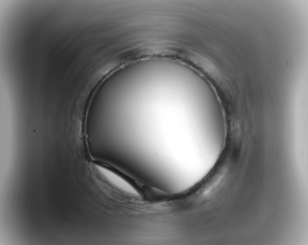 X0000098100881200804111020