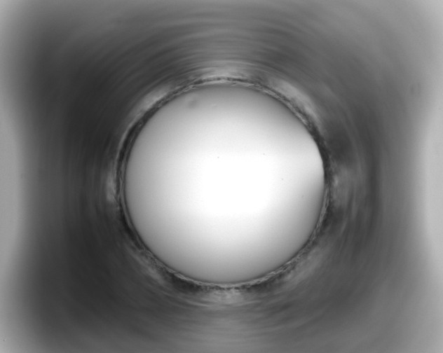 X0000098100882200804111020