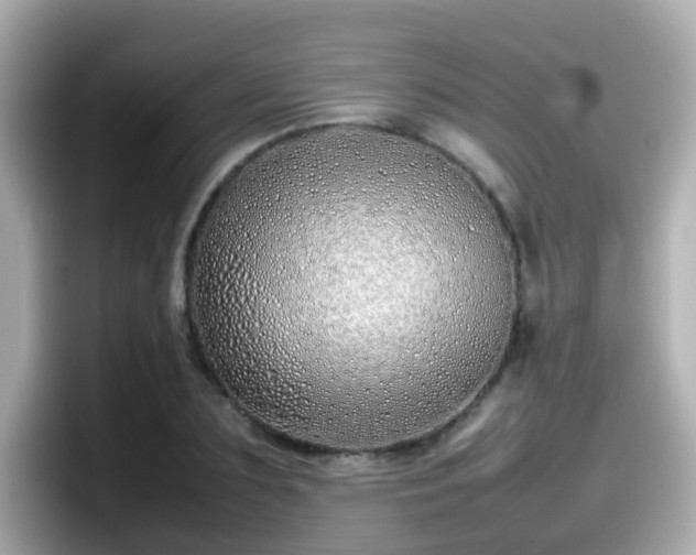 X0000098100883200804111020