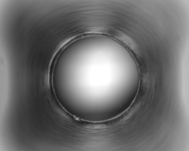 X0000098100884200804111020