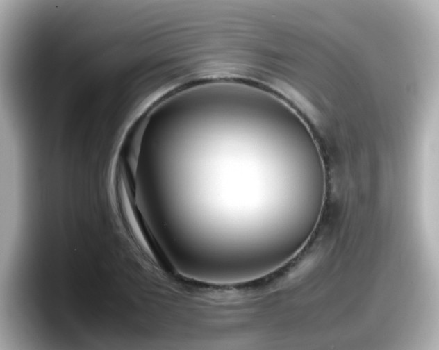 X0000098100885200804111020