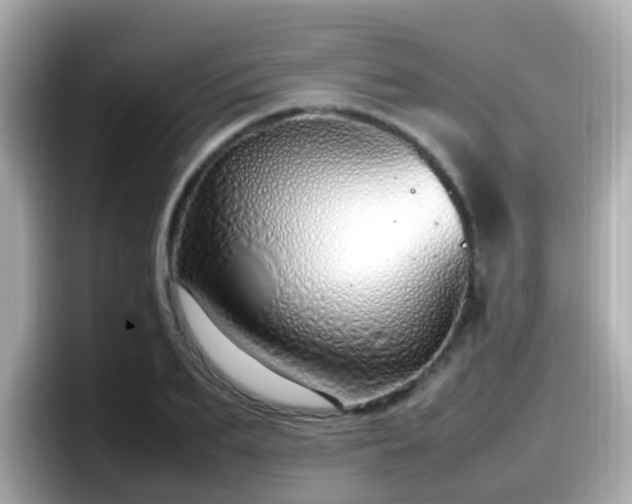 X0000098100887200804111020