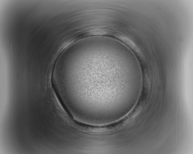 X0000098100889200804111020