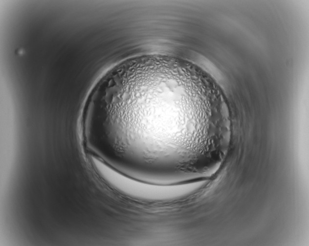X0000098100891200804111020