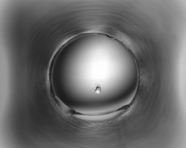X0000098100892200804111020