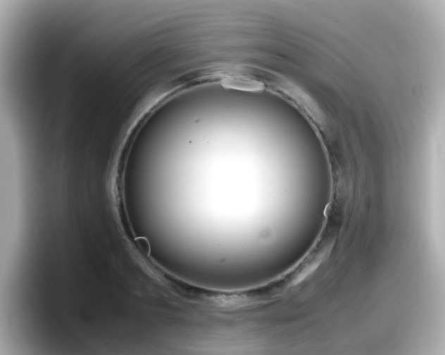 X0000098100893200804111020