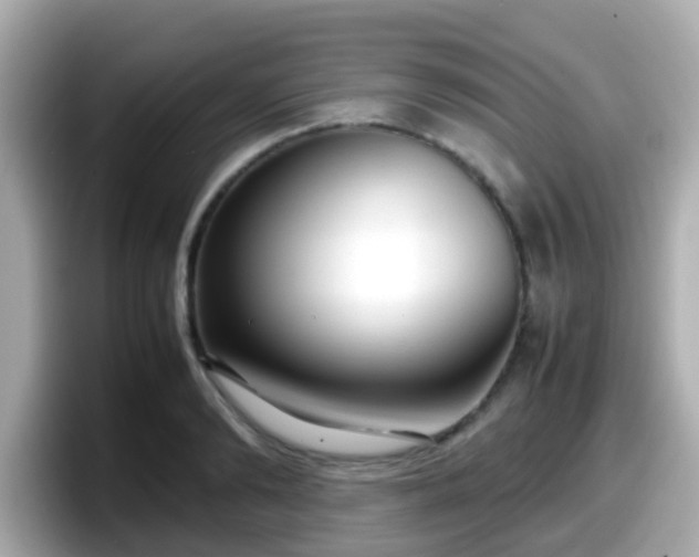 X0000098100894200804111020