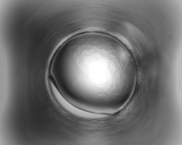 X0000098100895200804111020