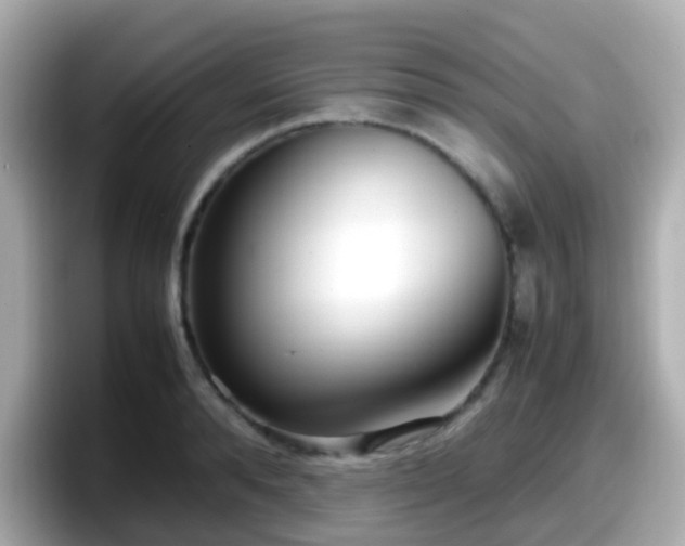 X0000098100896200804111020