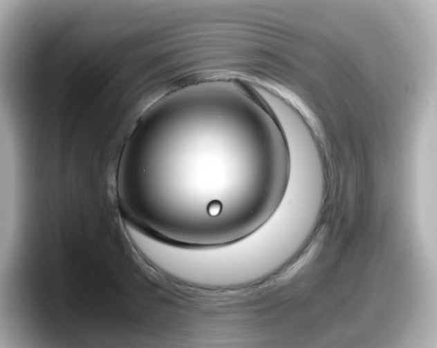 X0000098100897200804111020
