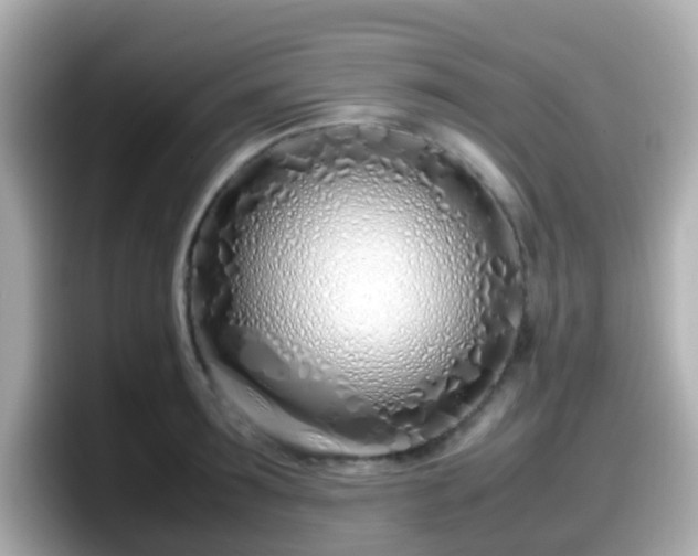 X0000098100899200804111020