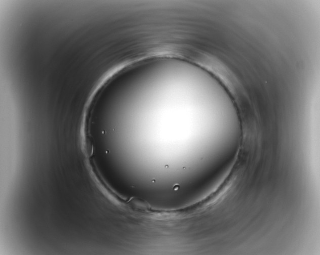X0000098100902200804111020