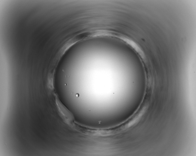 X0000098100905200804111020