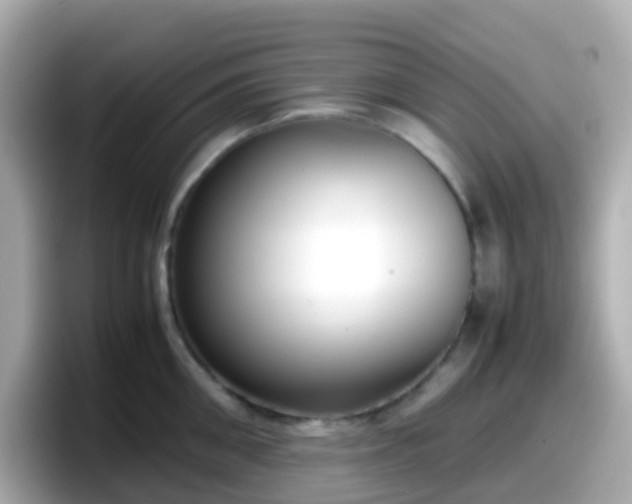 X0000098100906200804111020