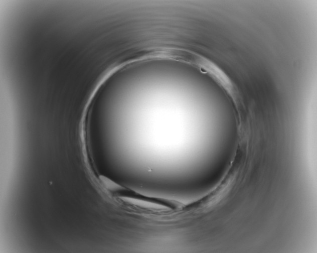 X0000098100907200804111020