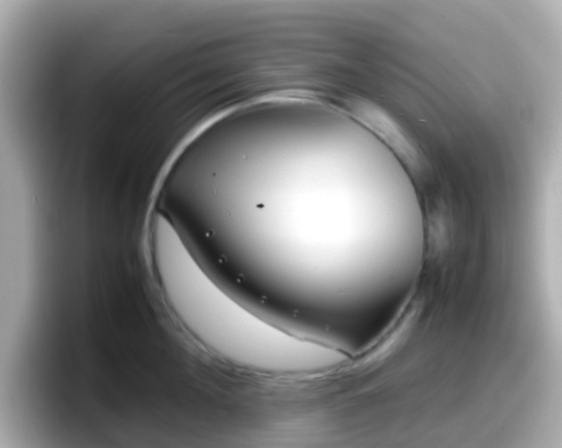 X0000098100908200804111020