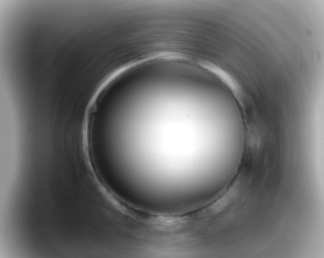 X0000098100910200804111020