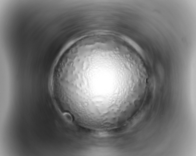 X0000098100911200804111020