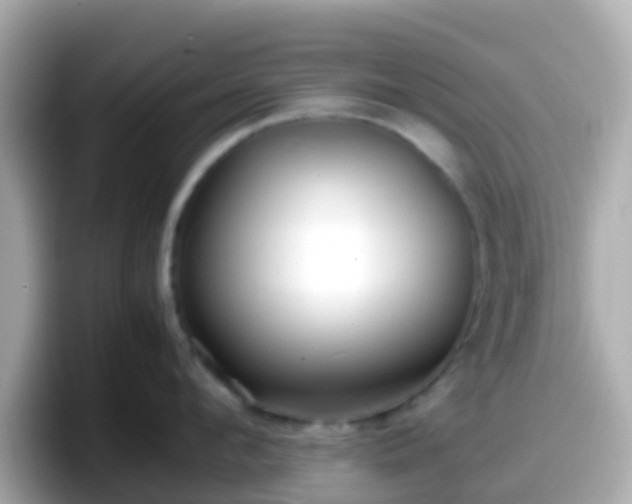 X0000098100912200804111020
