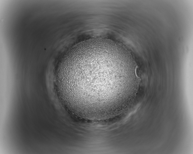 X0000098100913200804111019