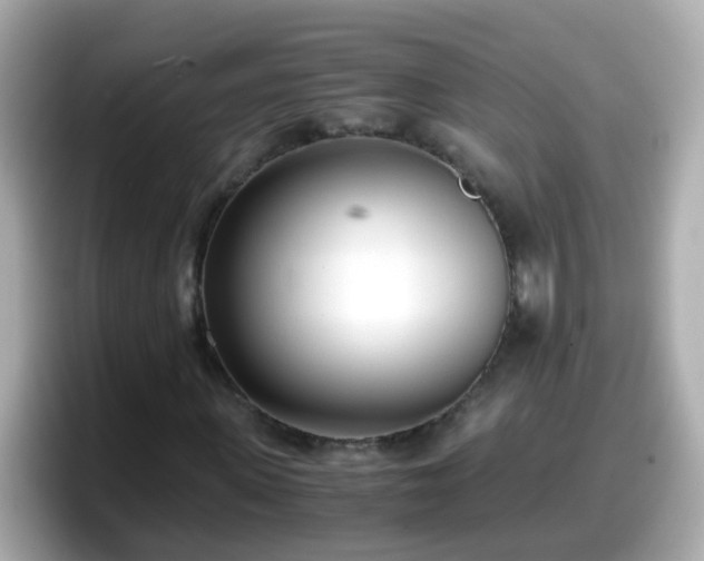 X0000098100915200804111019