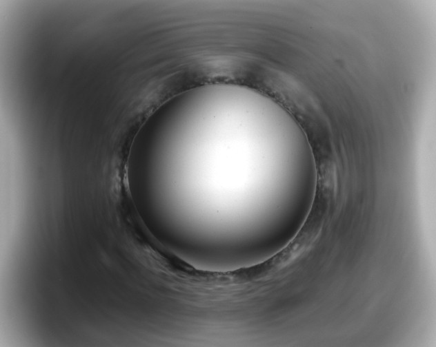 X0000098100916200804111019