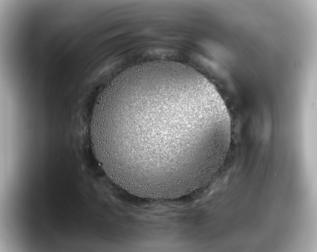 X0000098100917200804111019