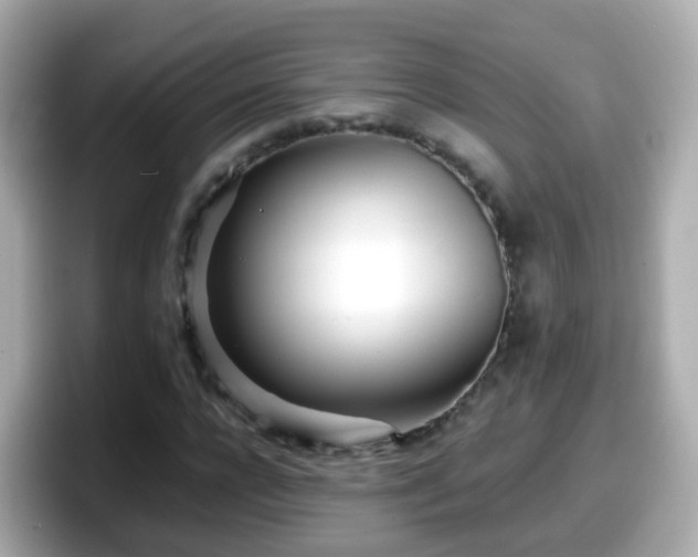 X0000098100920200804111019