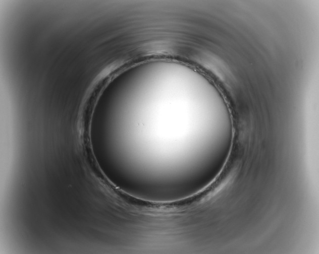 X0000098100922200804111019