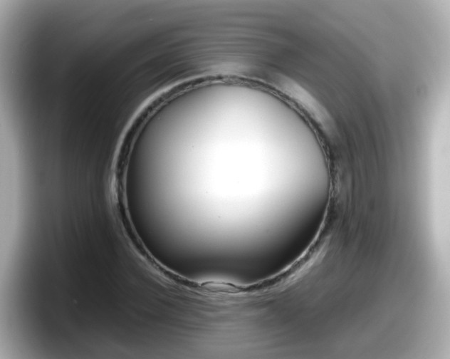 X0000098100924200804111020