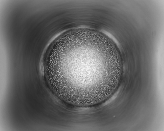 X0000098100925200804111020