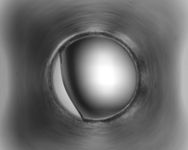 X0000098100926200804111020