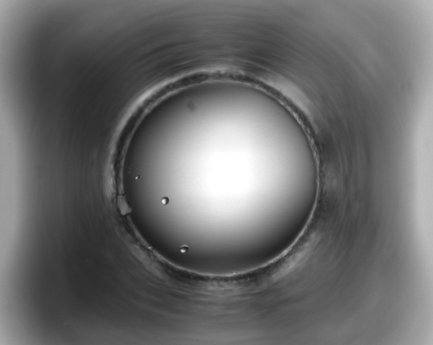 X0000098100927200804111020