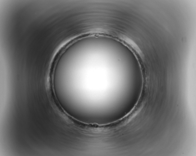 X0000098100928200804111020