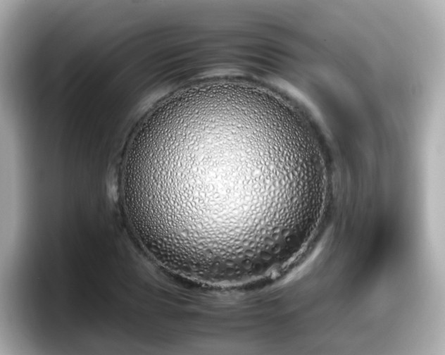 X0000098100929200804111020
