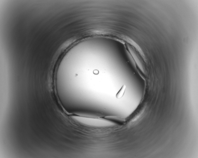 X0000098100930200804111020