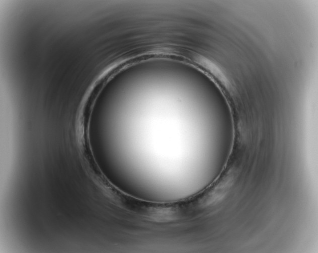 X0000098100931200804111020