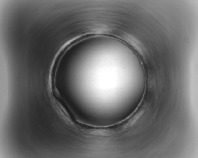 X0000098100932200804111020