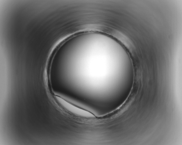 X0000098100936200804111020