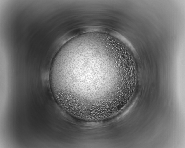 X0000098100937200804111020