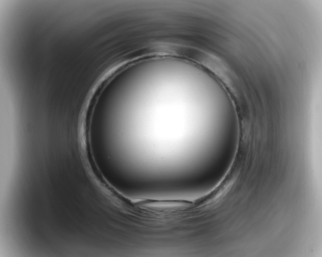 X0000098100939200804111020