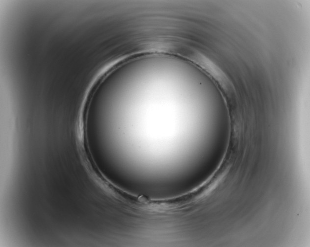 X0000098100940200804111020