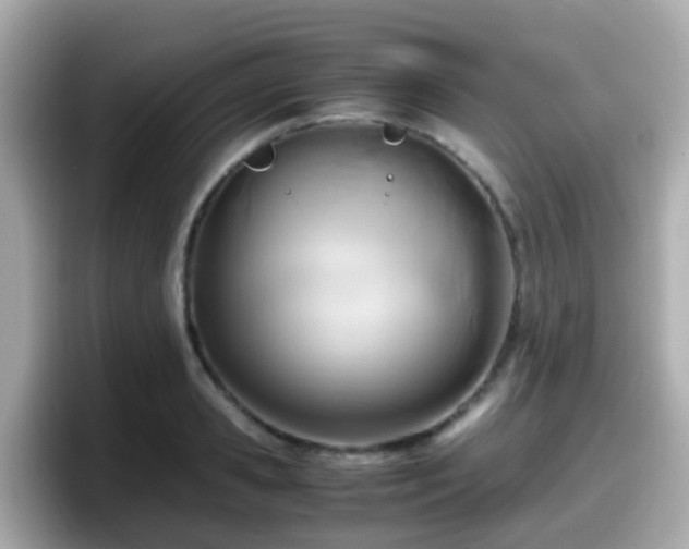 X0000098100941200804111020