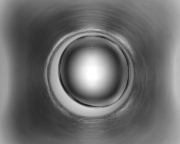 X0000098100942200804111020