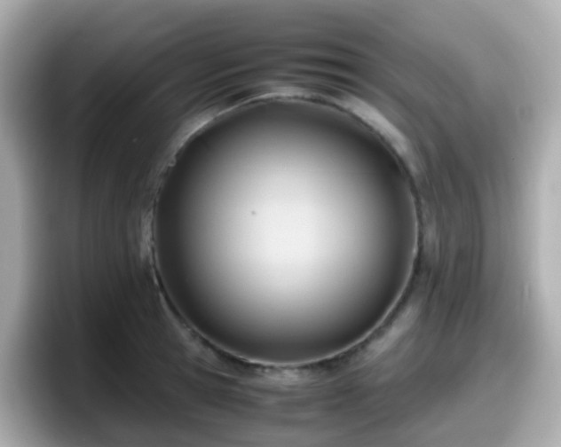 X0000098100945200804111020