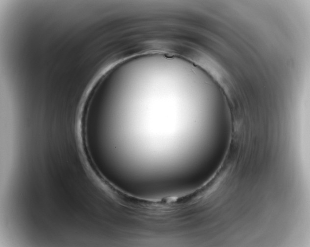 X0000098100947200804111020