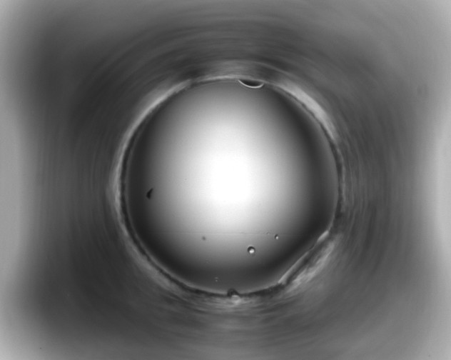 X0000098100949200804111020