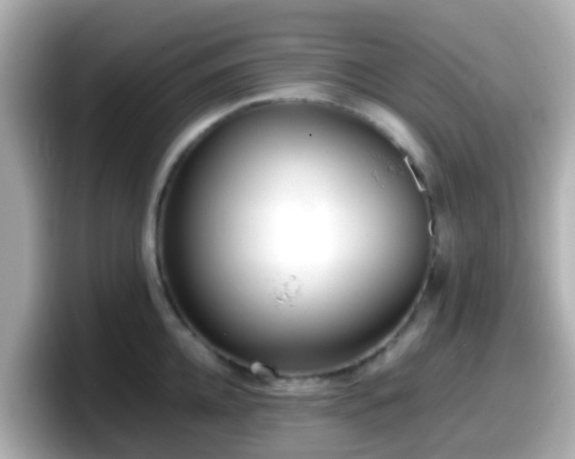 X0000098100952200804111020
