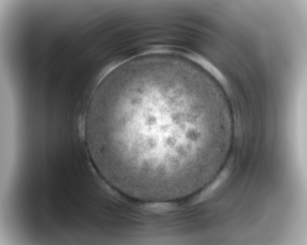 X0000098100953200804111020