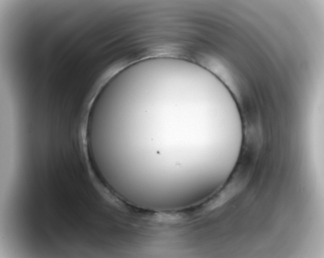 X0000098100954200804111020